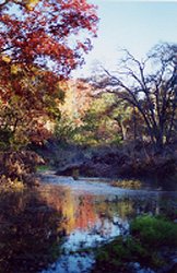 Creek Reflections on the Trail