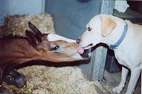 Yeager and Etta Mae